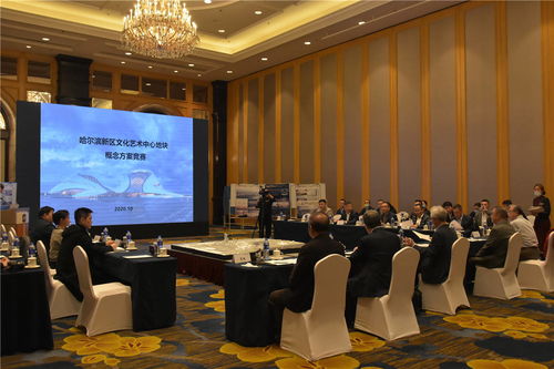 哈爾濱新區(qū)文化藝術中心項目建設邁出重要步伐 規(guī)劃設計招標圓滿完成，文化藝術交流活動蓄勢待發(fā)